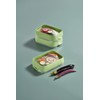 Lékué Set Seal Trays, wiederverwendbares Aufbewahrungsbehälter, 2 Stück, grün, 22x15x5