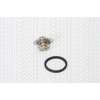 TRISCAN 8620 18788 Coolant Thermostat