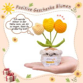 Mwmoeen Positive Pocket Hug Häkeln Tulpen Puppe Glücksbringer Geschenk, Mini Gehäkelte Blumen Stricken Spielzeug mit Nachrichtenkarte, Kleines Dankeschön Geschenk für Freunde Familie und Kollegen