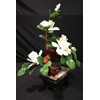 CFC White Jade Bonsai Flowers 99-3a