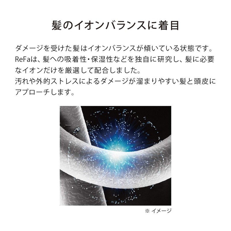 MTG ReFa ION CARE TREATMENT