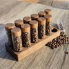 TREELF Coffee Bean Storage,Coffee Storage Container with Walnut Solid Wood
