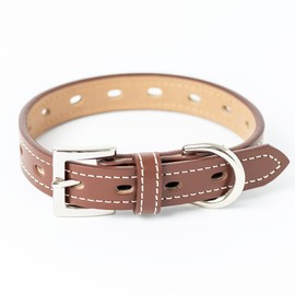 Dog Collar, Dog Collar, Dog Collar, Fashionable Cute Brand, Medium Dog, Small Dog, Ultra Small Dog, Dog, Kit, Leather, Leather, Leather, Leather, Coat, Chihuahua, Toy Poodle, Dog Collar, Glittering