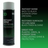 3D Instant Shine Back to Black Exterior Spray Dressing -
