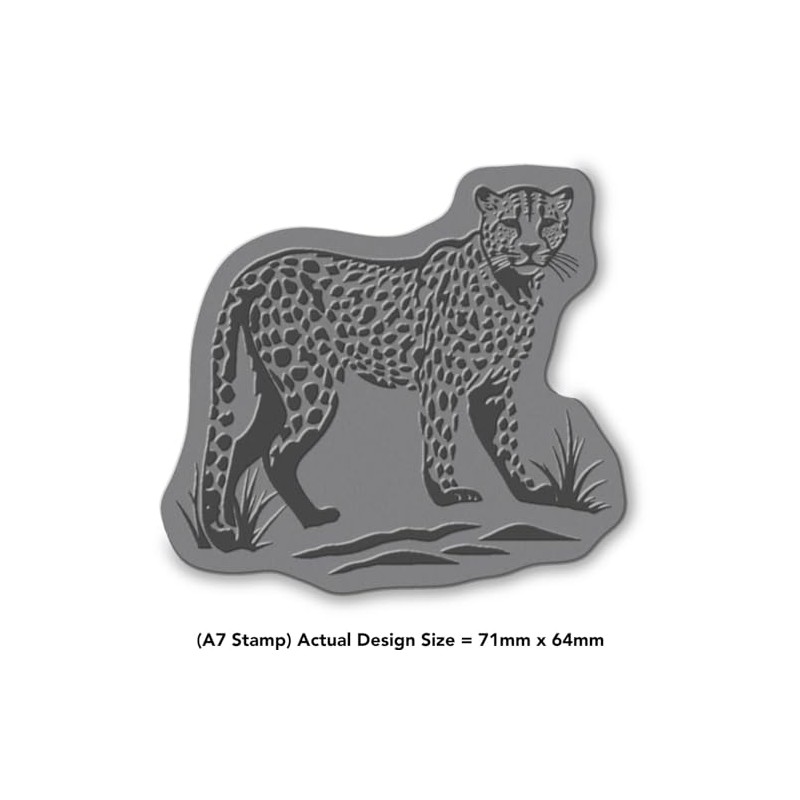 'Cheetah' Rubber Stamp - Unmounted Design for Crafting & Scrapbooking,