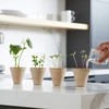 Back to the Roots Kids Science Grow Kit - 2