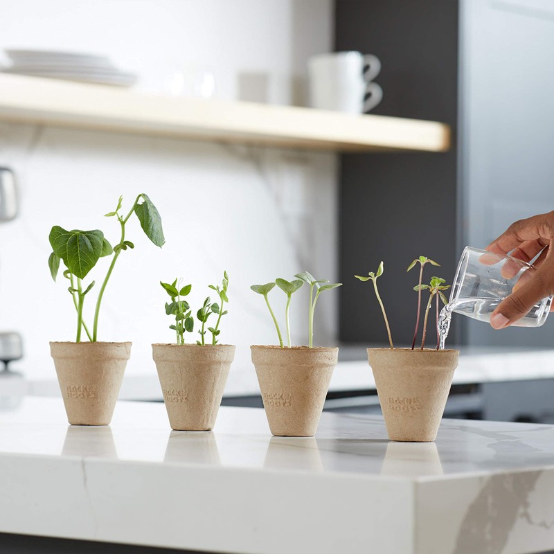 Back to the Roots Kids Science Grow Kit - 2