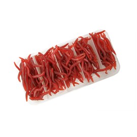 Fishing Soft Lure Earthworm Bait Lifelike Fake Earthworm Grub Worm Soft Fishing Lure Baits,Various 1.6inch, Red (150pcs/box)