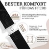 Esposita Elastic Blanket Strap Horse Elastic Blanket Strap Elastic Black