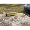 Rebel LIVEFLEX™ Shore Shiner Soft Plastic - Smallie - 2"