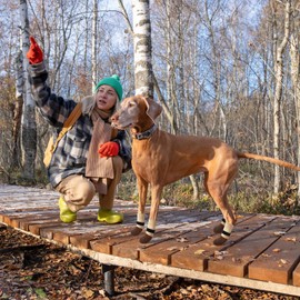 SCENEREAL Dog Socks to Prevent Licking Paws for Hardwood Floors Anti Slip, Dog Grippy Socks Shoes for Senior Small to Large Dogs, Dog Boots & Paw Protectors for Hot/Cold Scratching Pavement