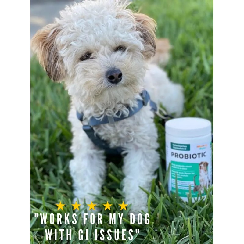 Probiotic for Dogs & Cats, Travel Pack (6) - Digestive