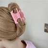 5 PCS Premium Durable Acetate Butterfly Hair Clips, Medium Size