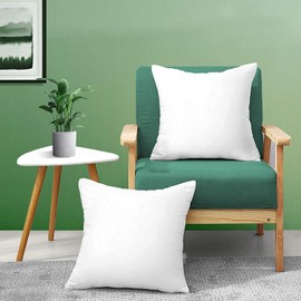 Empyrean Bedding Throw Pillow - 16 x 16 Inches Decorative Pillow Insert - Cotton Blend Outer Shell Indoor & Outdoor Pillows (Pack of 2, White)