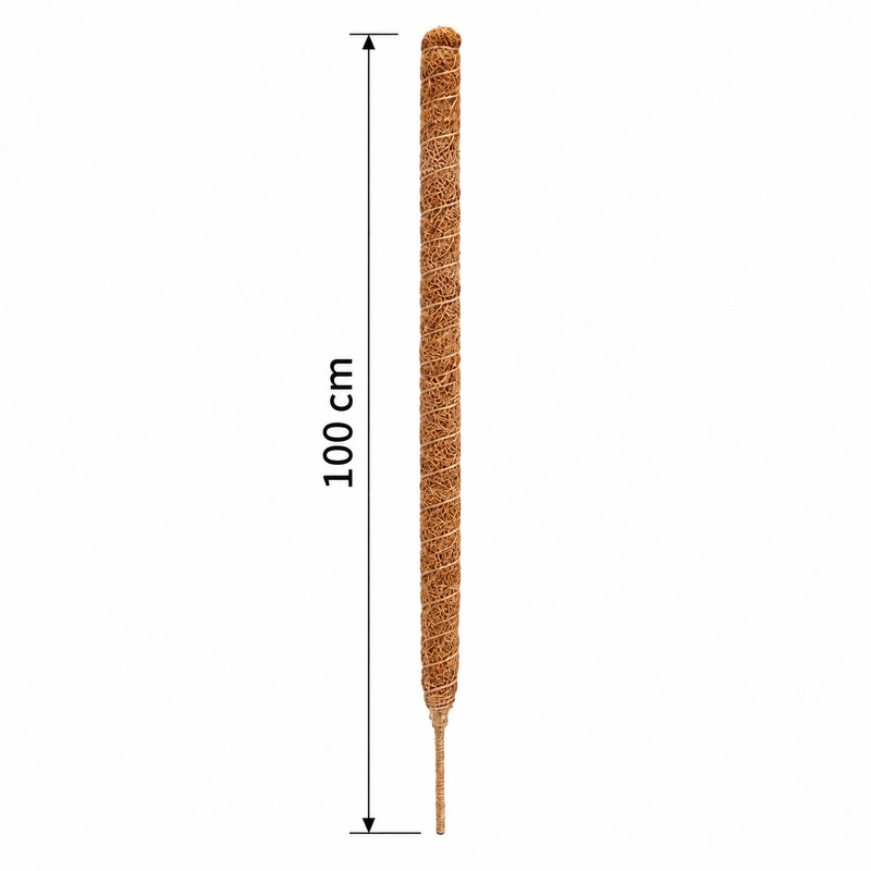 Moss Pole for Climbing Indoor Plants – Plant Fiber Support