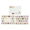 Shibuko Moriyama Letter Set [Stamps] Cute Animal H12-AHK-383