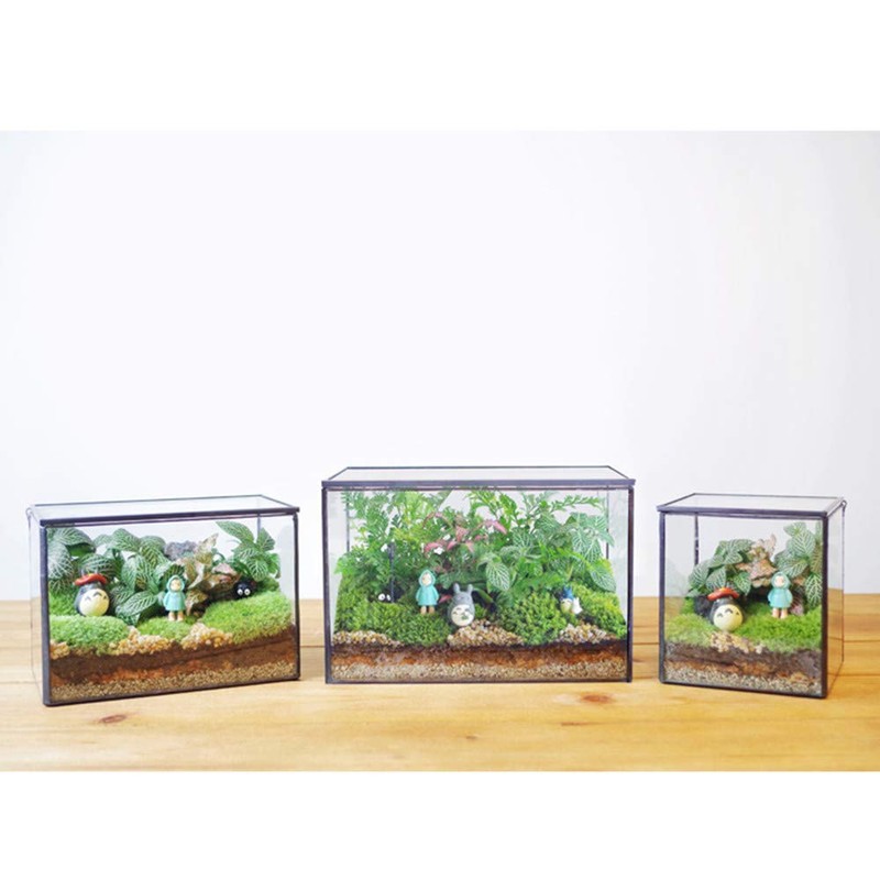 Glass Plants Terrarium with Lid,Rectangle Black Pot Box for Indoor