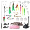 Qawrzzpr Interactive Cat Toy for Indoor Cats Retractable Wand 2Pole