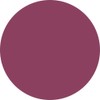 PREANFA PGU-M324 Color Gel Cassis Berry 324 0.1 oz (3
