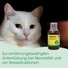 cdVet Calma LÖSUNG für Hunde und Katzen bei Nervosität und