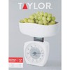 Taylor RA17718 Stainless Steel Kitchen Scale44 11lb, Black