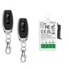 Tedeligo Universal AC 220V 230V 1 Channel Wireless Remote Control