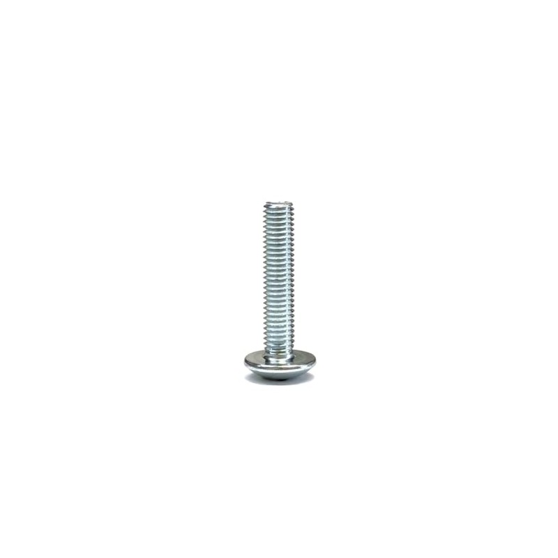 [M5x25] Truss head small screws (10 pieces) zinc plated