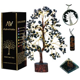AstraVeda Black Tourmaline Tree, Crystal Tree, Tree of Life, Chakra Tree, Feng Shui Tree, Healing Crystal, Gemstone Tree, Crystal Gifts, Healing Stones, Spiritual Gift