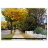Canada's British Columbia Autumn Time (Wall Calendar 2026 DIN A3