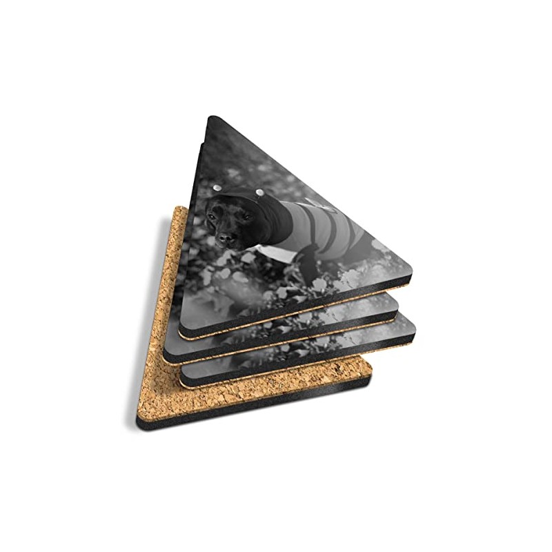4 x Triangle Coasters - BW - Bumblebee Staffy Dog