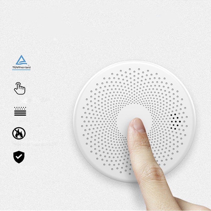 Tuya WiFi 2 In 1 Intelligent Smokes Carbon Monoxide Detector