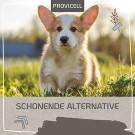 PROVICELL para-Z-Vital I Natural Protection Against Gifts from Nature I Z Snack with Black Cumin Oil and Rock Rose Herb I No Chemicals I Developed with Veterinarians in Germany I 120 Tablets