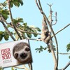 Metal Sign with Sloth Motif and Saying "Betreten auf eigene