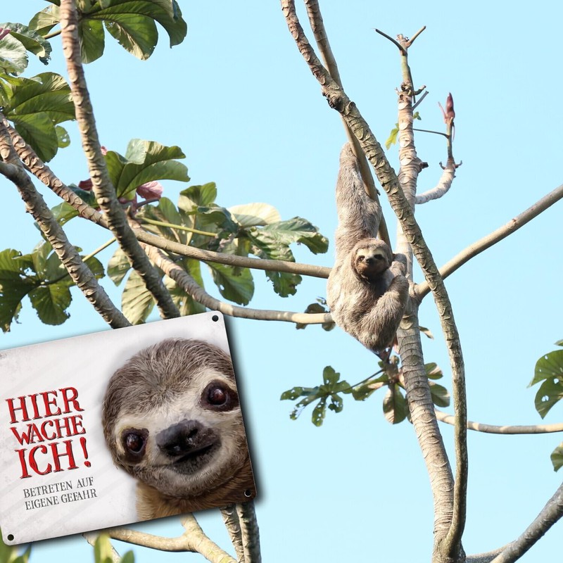 Metal Sign with Sloth Motif and Saying "Betreten auf eigene
