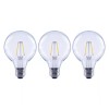 Eco-Smart Ecosmart G25 LED 25w 1006265460 daylight bulbs 3pk