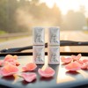 20 Pack Peach Flavor Car Air Vent Clip Freshener Refills