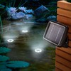 Esotec 102148 Solar Underwater Lights