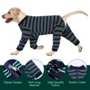 Kuoser Dog Bodysuit After Surgery for Medium Dogs Pyjamas, One-Piece