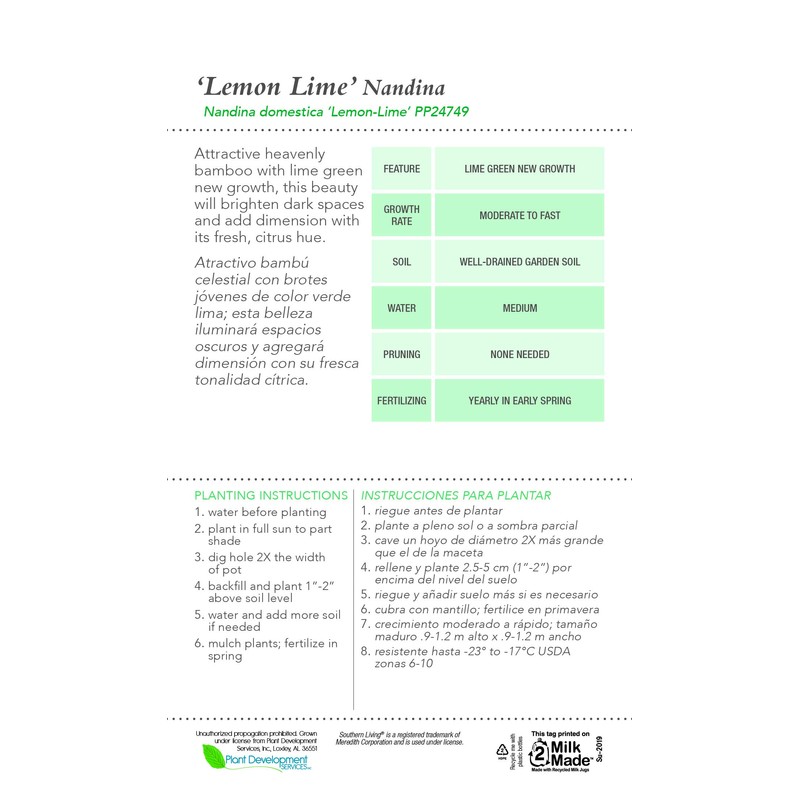 Southern Living Lemon Lime Nandina, 2.5 Qt, Yellow and Green