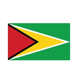 MAGNET Guyanese Flag Guyana Guy Gy Magnetic Vinyl Car Fridge Sticks to any Metal Surface 5"