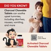 Charcoal House Chewable Activated Charcoal Tablets for Kids | Natural,