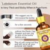 D?ve Herbes Aceite Esencial de L?dano Puro