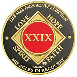 NA 29 Year Recovery Medallion, Narcotics Anonymous Clean Time Metal Coin, NA Recovery Chip (Red, Gold Plated)