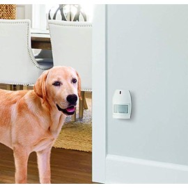 U.S. Patrol- Wireless Watchdog-Personal Security Monitor (Extra Transmitter)