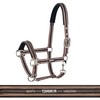 Standard halter pin buckle
