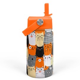 Cat Water Bottle - Kids Water Bottle with Straw Lid - 12 Oz Insulated Stainless Steel Water Bottles for Toddlers Kid Boys Girl - Travel Cup for School Sports