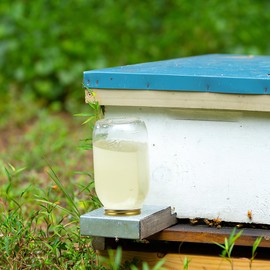 BESPORTBLE Bee Water Dispenser: 8pcs Fittings Bee's Beehive Entrance Feeder Tool Bee Feeding Equipment Bee Water Feeding Tool Bee Feeders Bee Water Feeder Top Metal