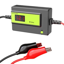 Battery Desulfator，Battery Maintainer for Cars, Trucks, Motorcycles, ATV, Boats, RV Battery,Auto-Setting (12-48V 200AH Green)