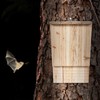 Relaxdays Bat Box Large Shelter for Bats Made of Untreated
