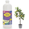 Premium Liquid Lemon Tree Plant Fertilizer - 3-1-2 Concentrate for
